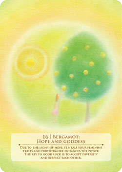 アロマフェアリーカードの画像
